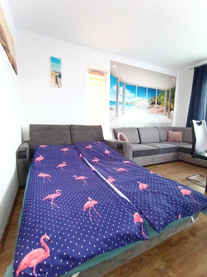 米兹多洛杰Flamingo 19公寓 外观 照片